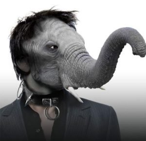 मृत्यु कुरिरहेका मान्छेहरु