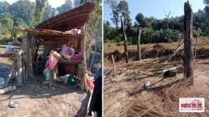 चिसो राज्य