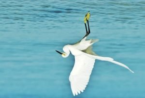 आकाश थामेका हुटिट्याउँहरु